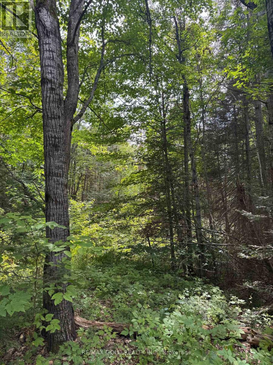 1791 Alsace Road Property Photo 23
