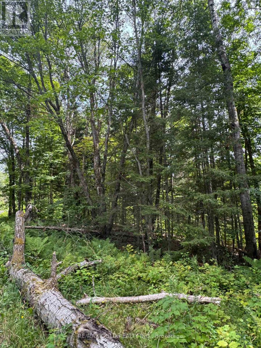 1791 Alsace Road Property Photo 25