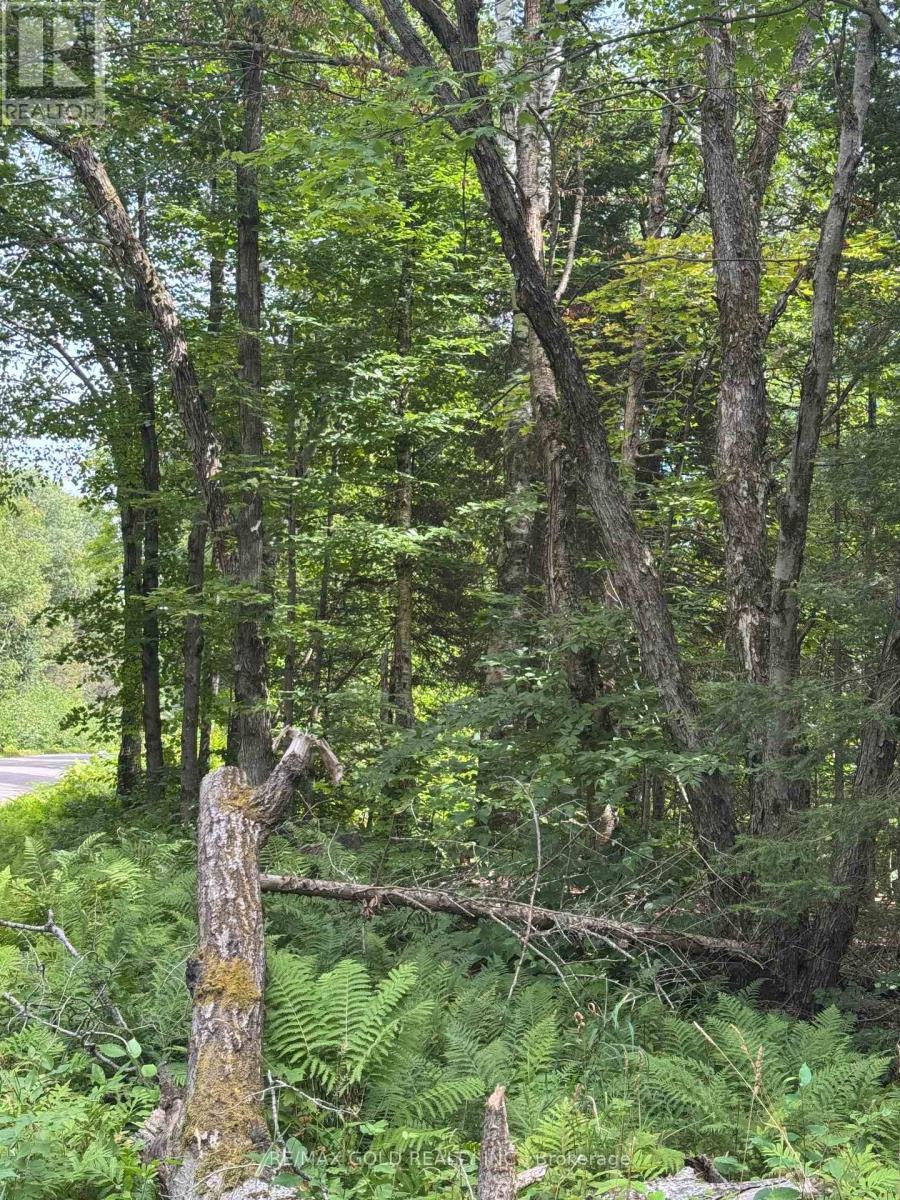 1791 Alsace Road Property Photo 26