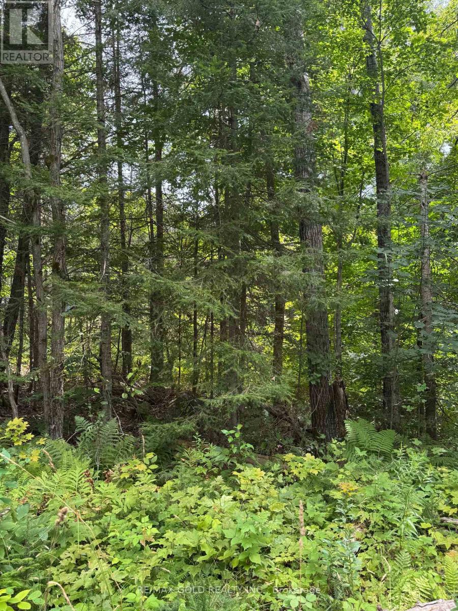 1791 Alsace Road Property Photo 29