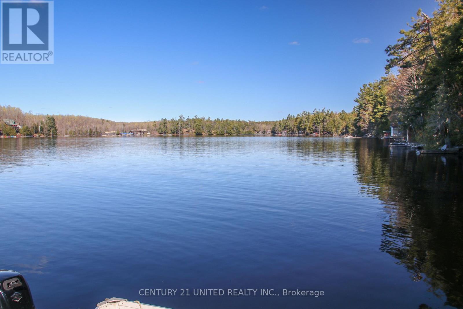 812 Island 8 Catchacoma Lake Property Photo 5