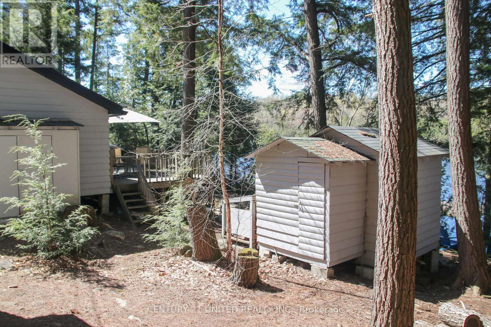 812 Island 8 Catchacoma Lake Property Photo 37