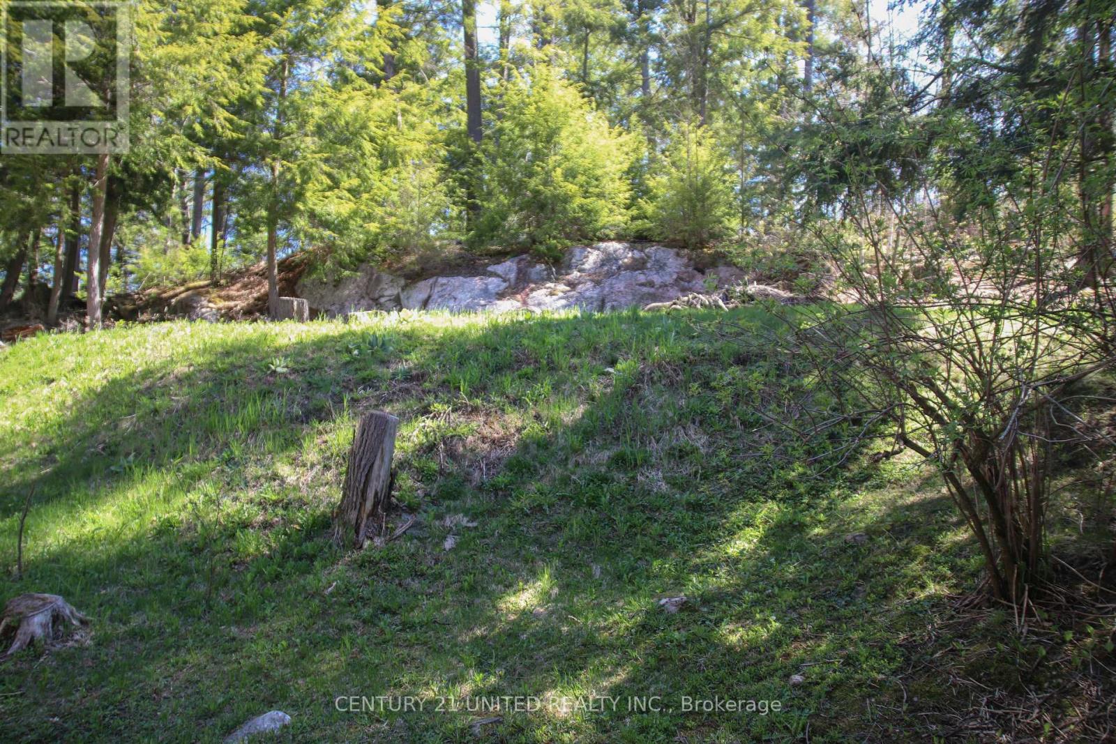 812 Island 8 Catchacoma Lake Property Photo 39