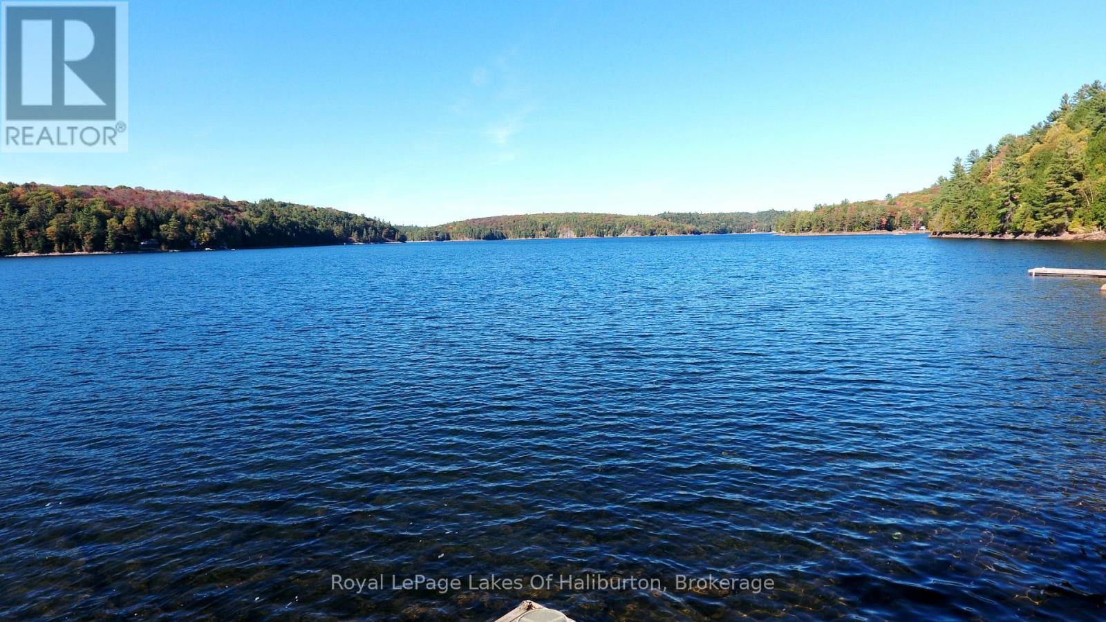 13303 Little Hawk Lake - South Shore Property Photo 5
