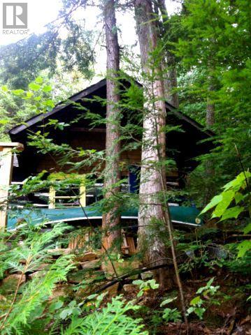 13303 Little Hawk Lake - South Shore Property Photo 10
