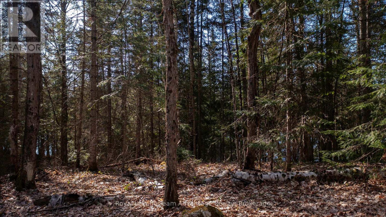 Lot 2 Greenwood Way Property Photo 9