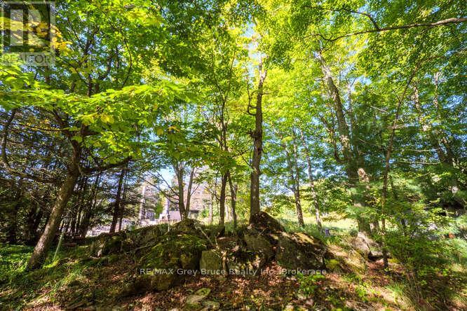 290 Clarke's Road Property Photo 8