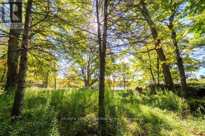 290 Clarke's Road Property Photo 9