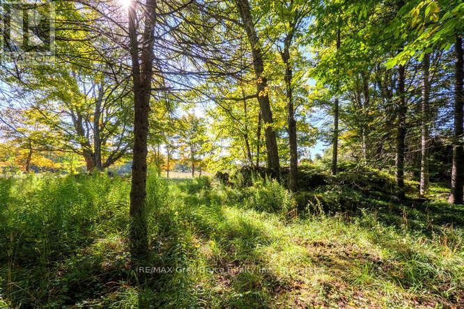 290 Clarke's Road Property Photo 10