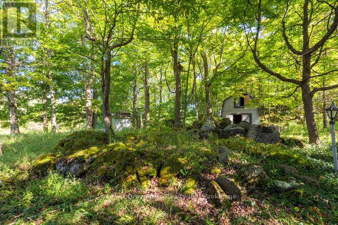 290 Clarke's Road Property Photo 14