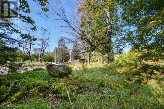 290 Clarke's Road Property Photo 15