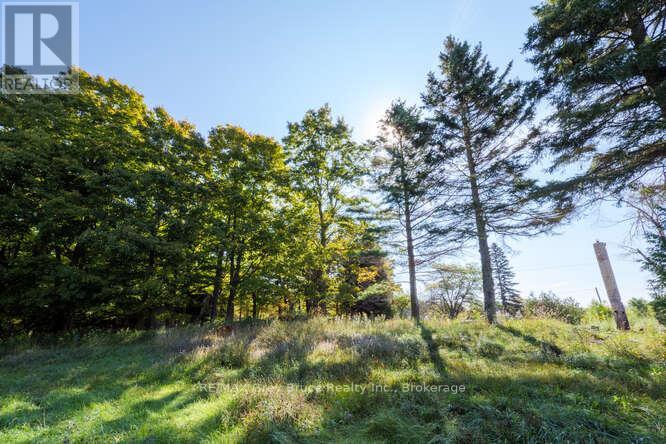 290 Clarke's Road Property Photo 17
