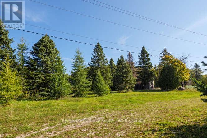 290 Clarke's Road Property Photo 21