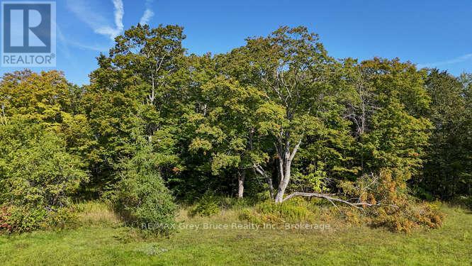 290 Clarke's Road Property Photo 40