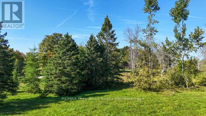 290 Clarke's Road Property Photo 41