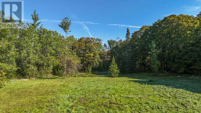 290 Clarke's Road Property Photo 42