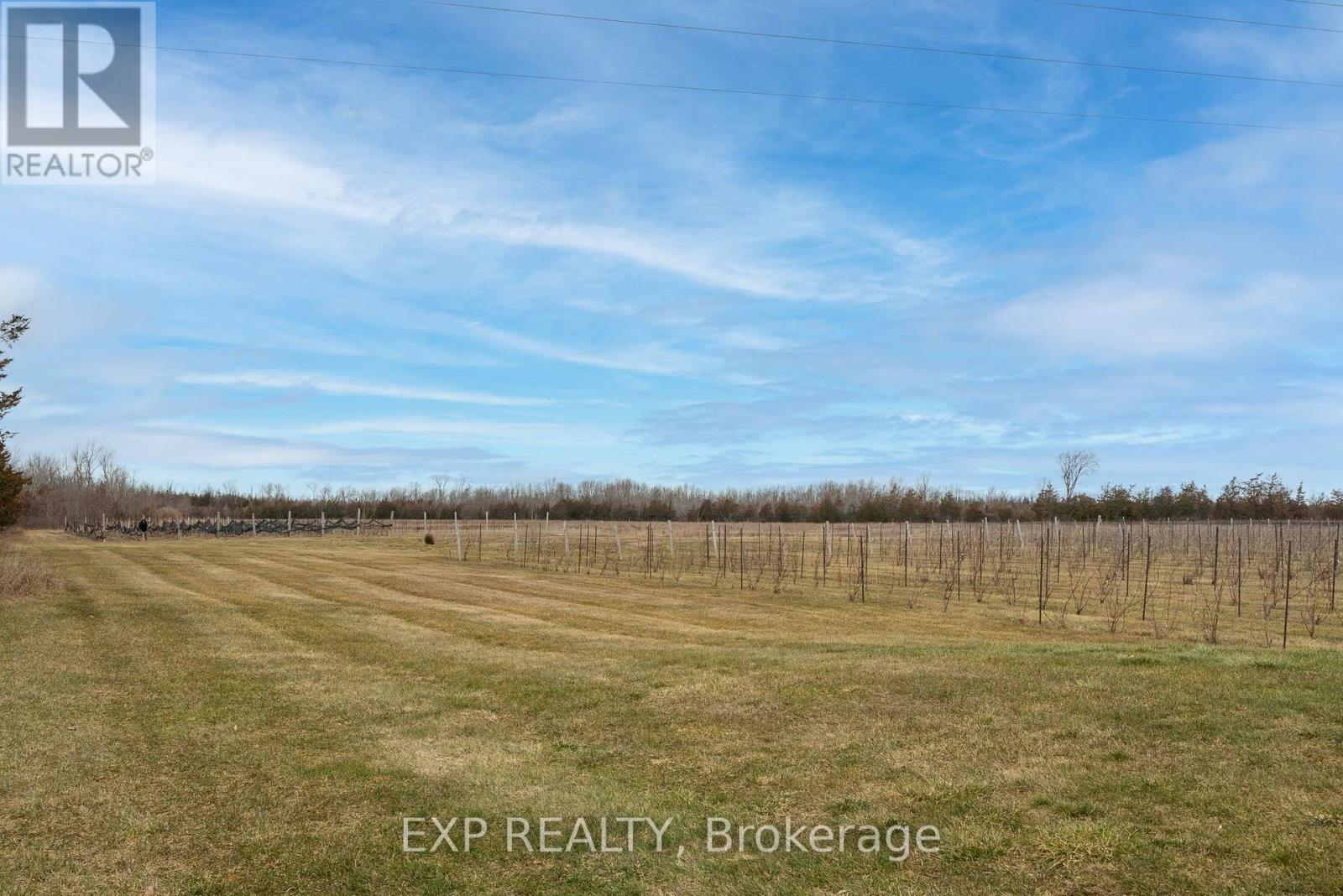 3589 County Road 8 Property Photo 38