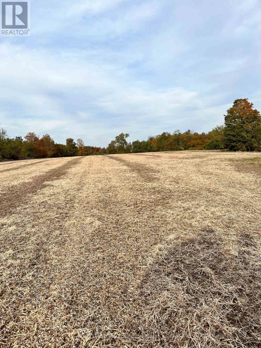 5167 Fifth Line Property Photo 32