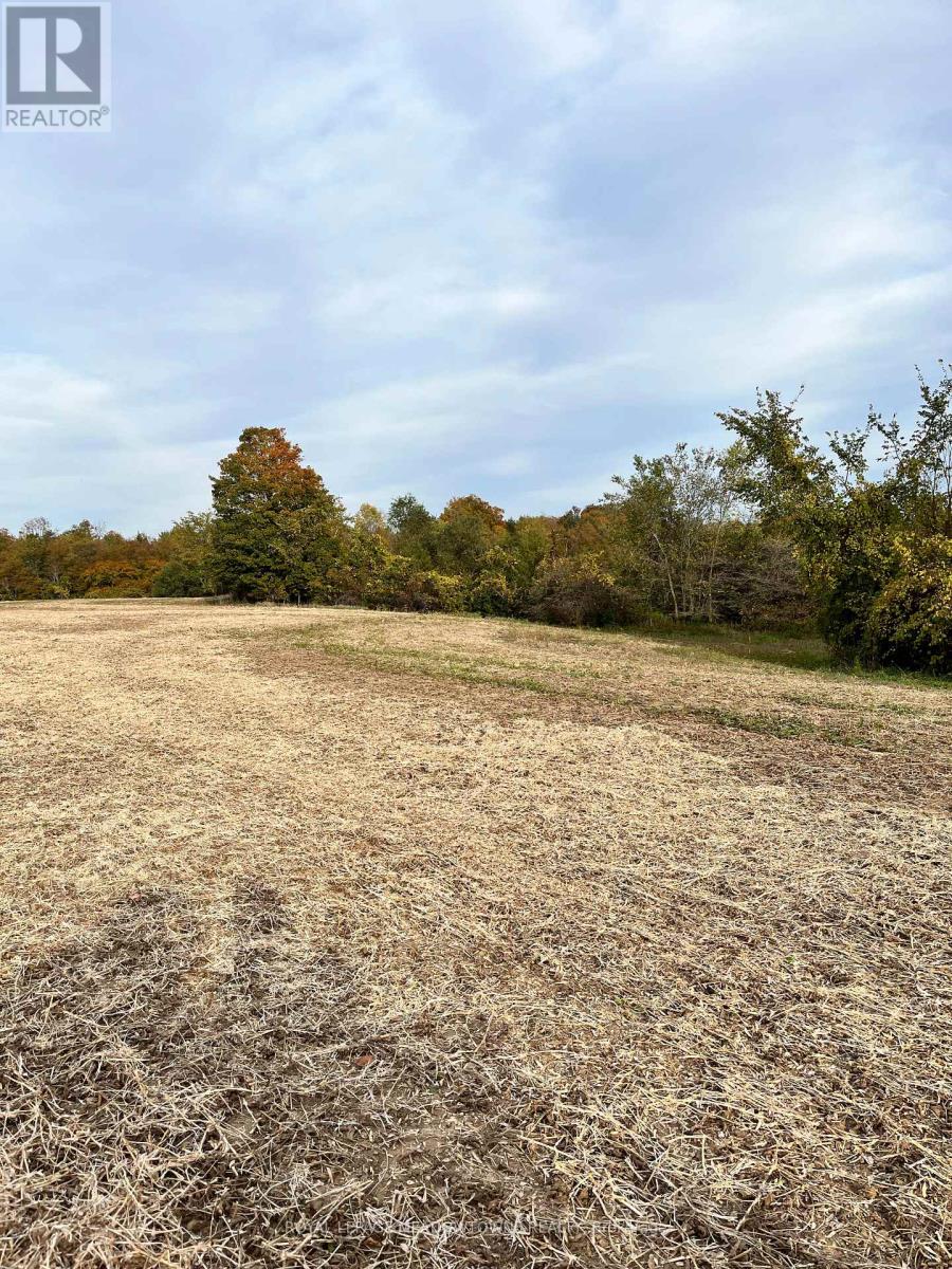 5167 Fifth Line Property Photo 33