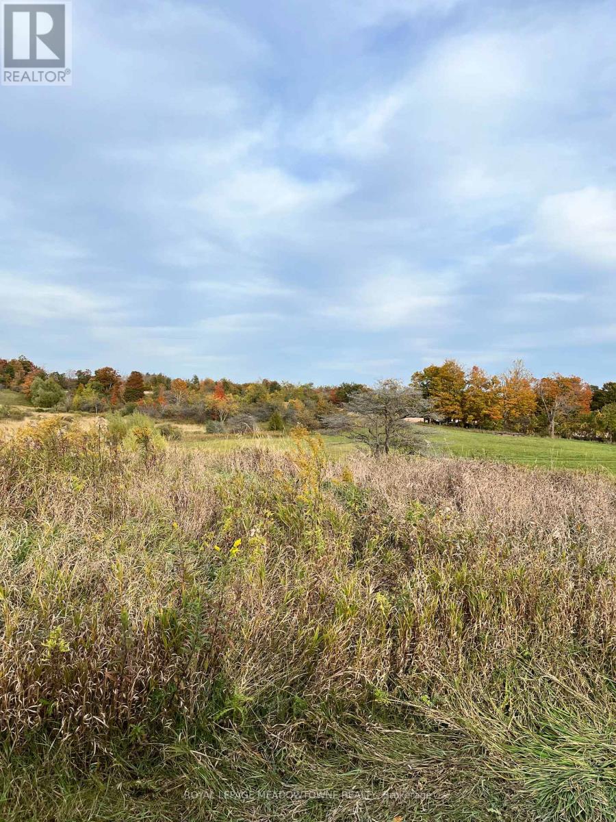5167 Fifth Line Property Photo 36