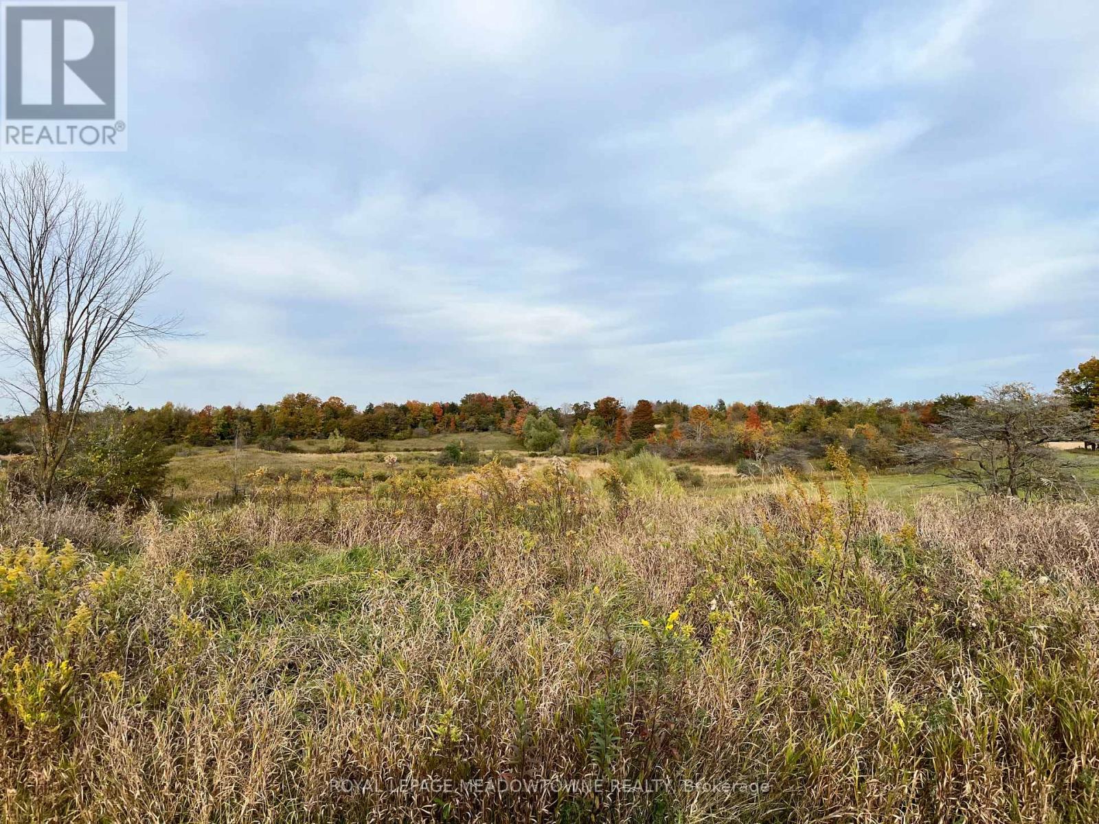 5167 Fifth Line Property Photo 37