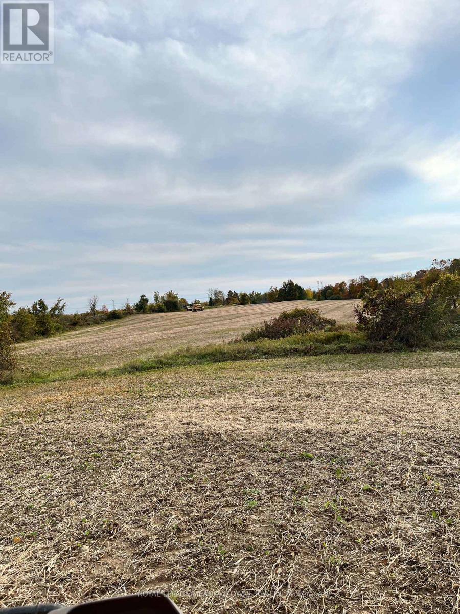 5167 Fifth Line Property Photo 38