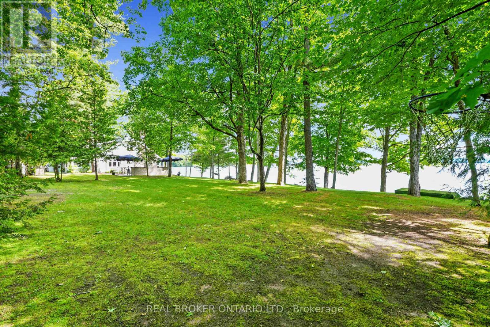 2021 Third Line Property Photo 3