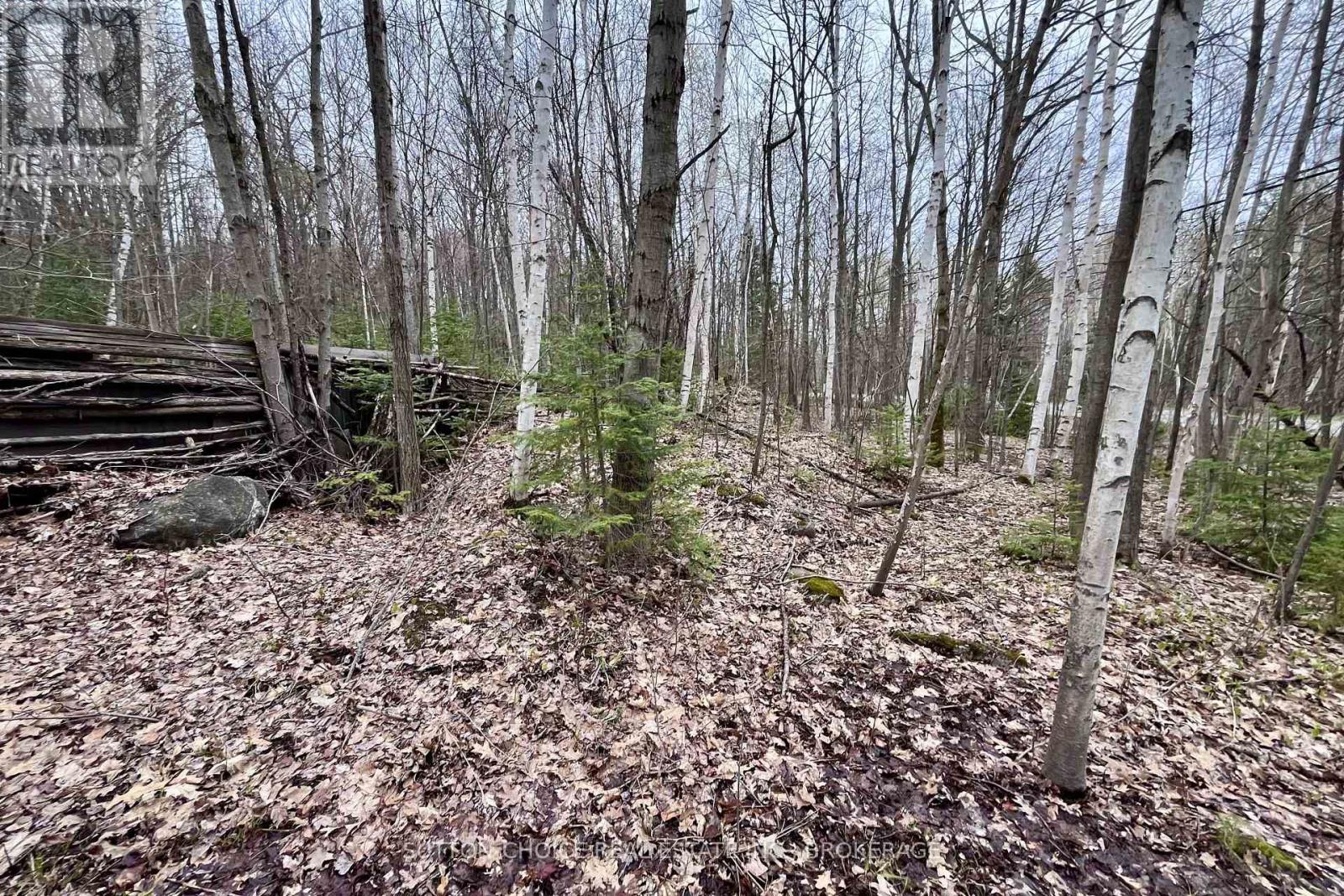 1876 Alsace Road Property Photo 11