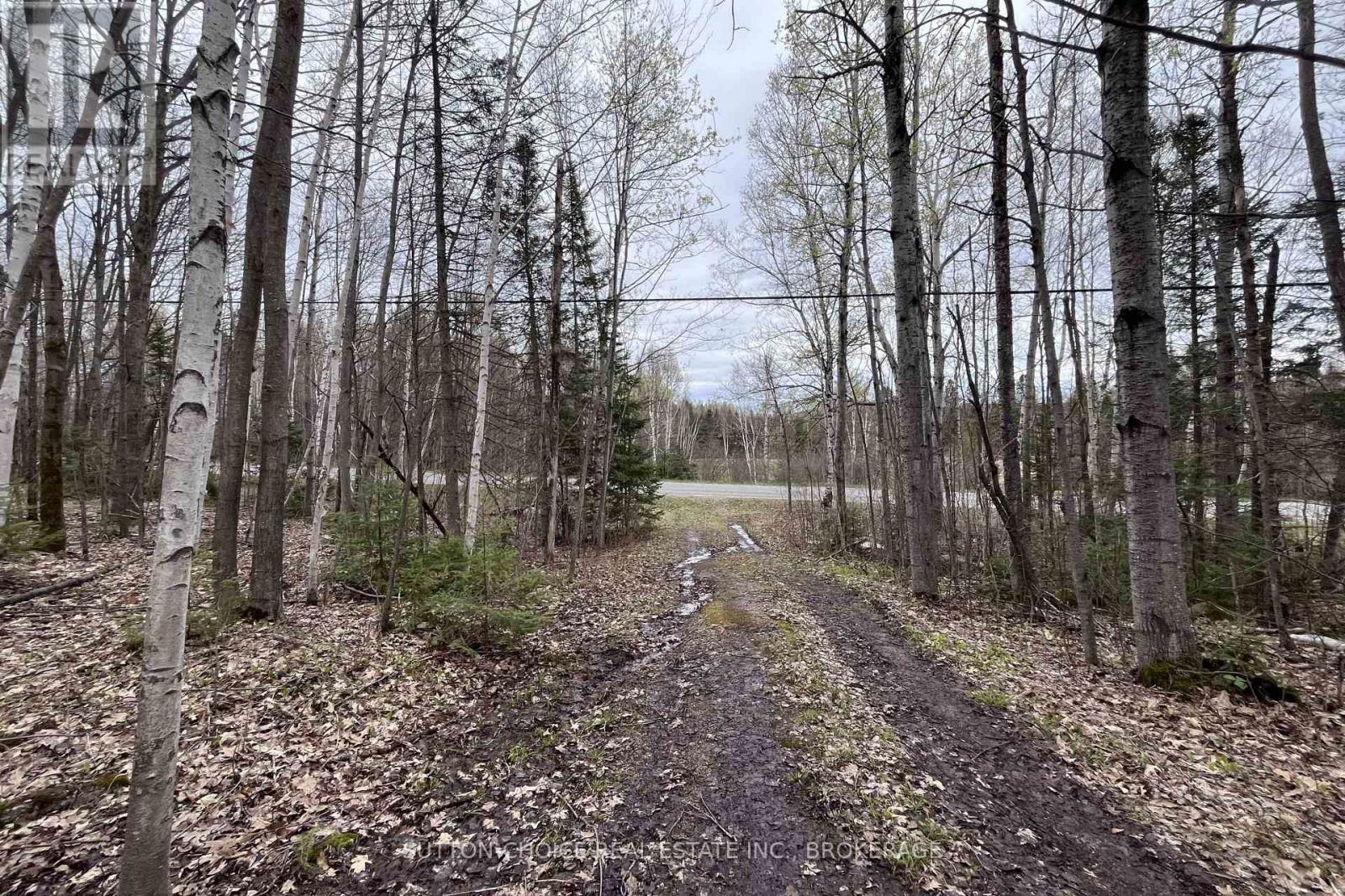 1876 Alsace Road Property Photo 12