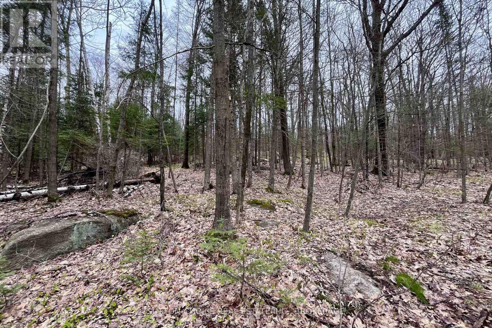 1876 Alsace Road Property Photo 19