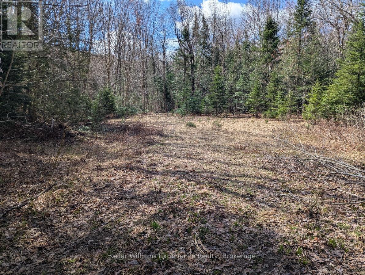 1397 Echo Ridge Road Property Photo 4
