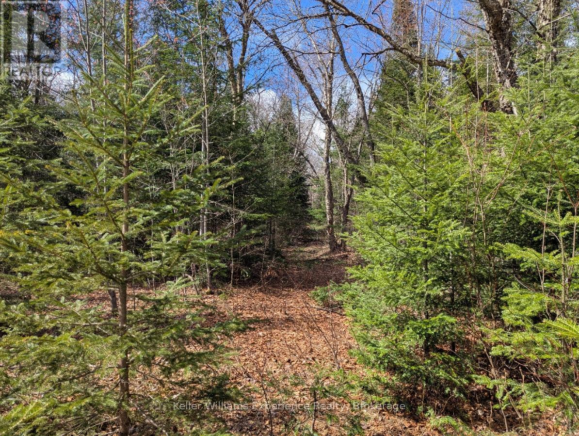 1397 Echo Ridge Road Property Photo 5