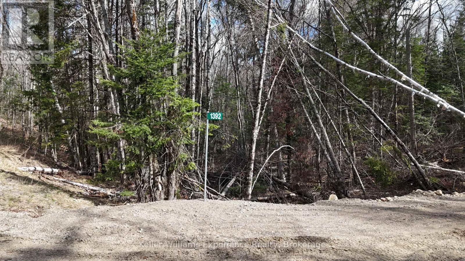 1392 Echo Ridge Road Property Photo 5