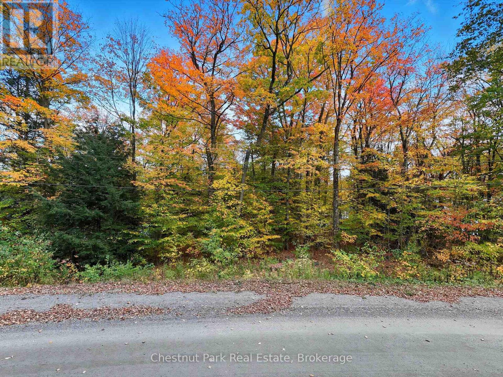 0 North Menominee Lake Road Property Photo 12