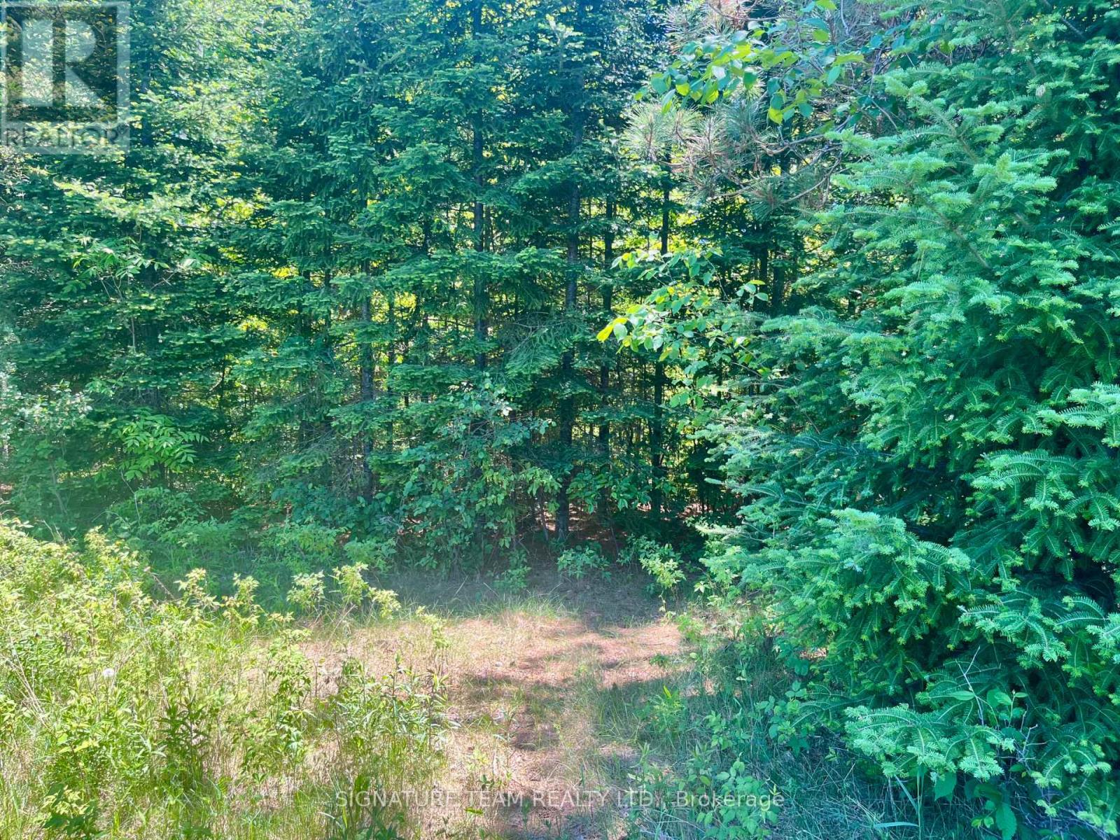 00 Foymount Road Property Photo 32