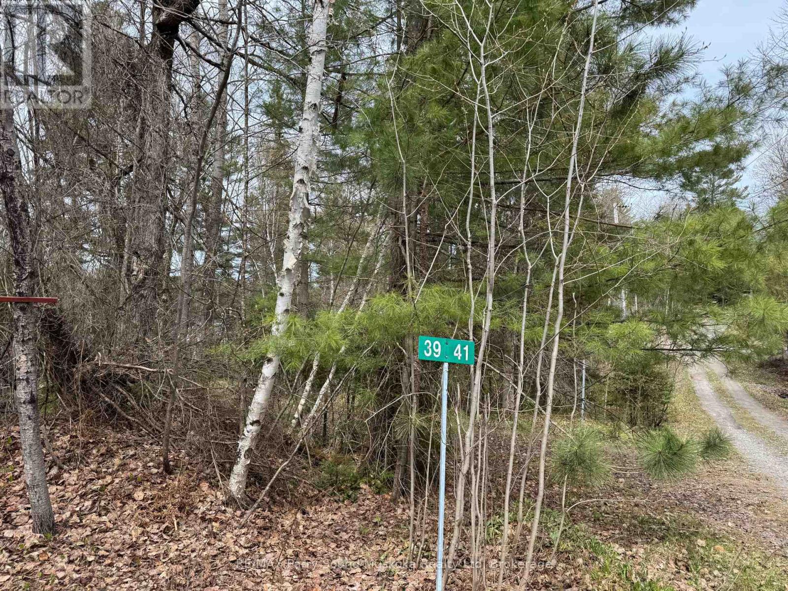 41-35 Weber Road Property Photo 5
