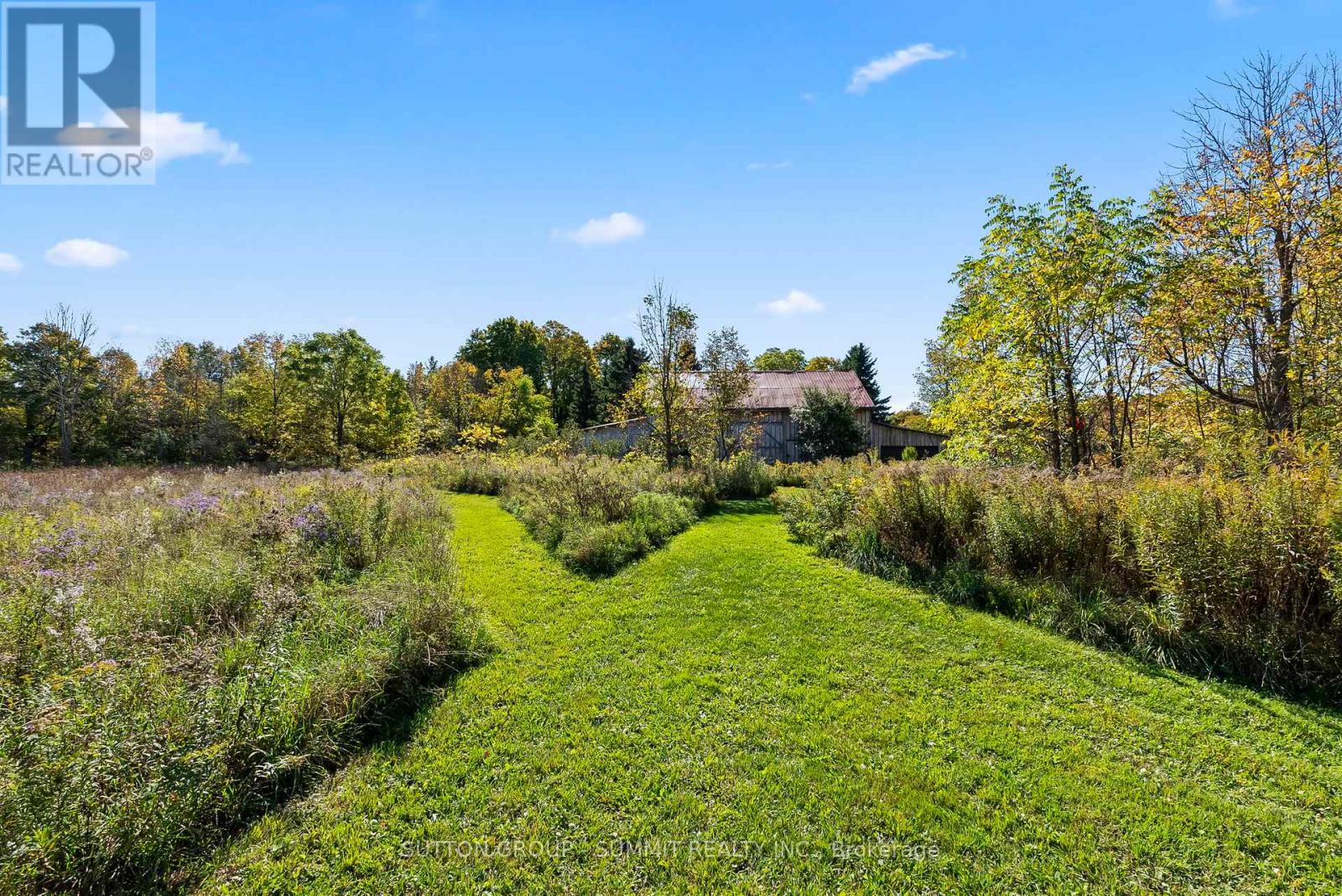 502349 10 Concession Property Photo 31