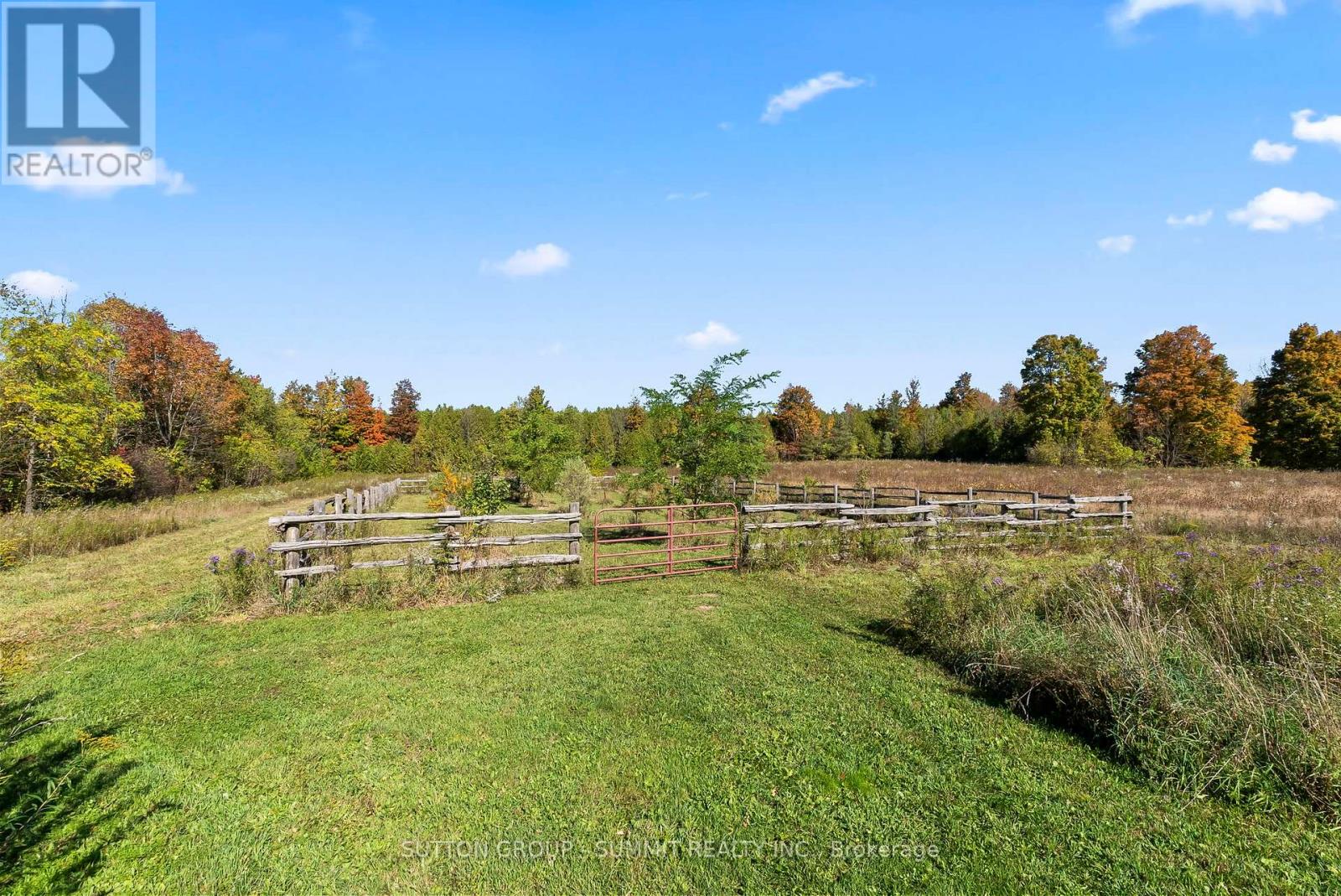 502349 10 Concession Property Photo 32