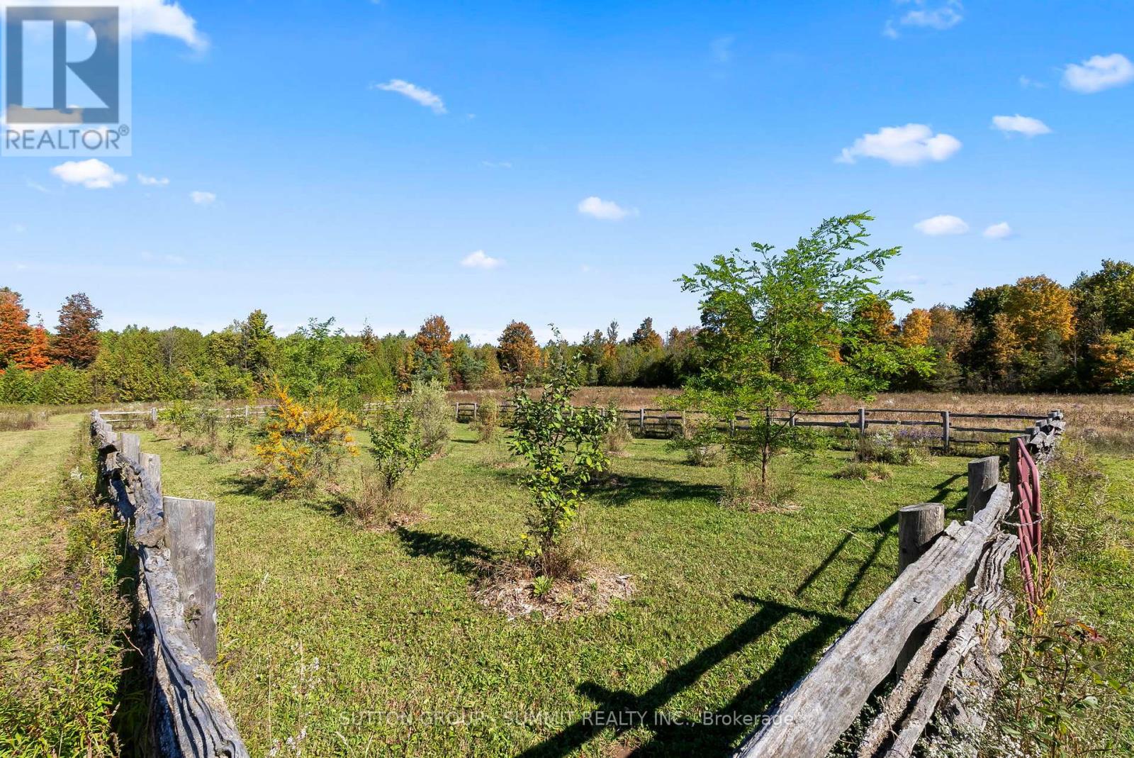 502349 10 Concession Property Photo 33