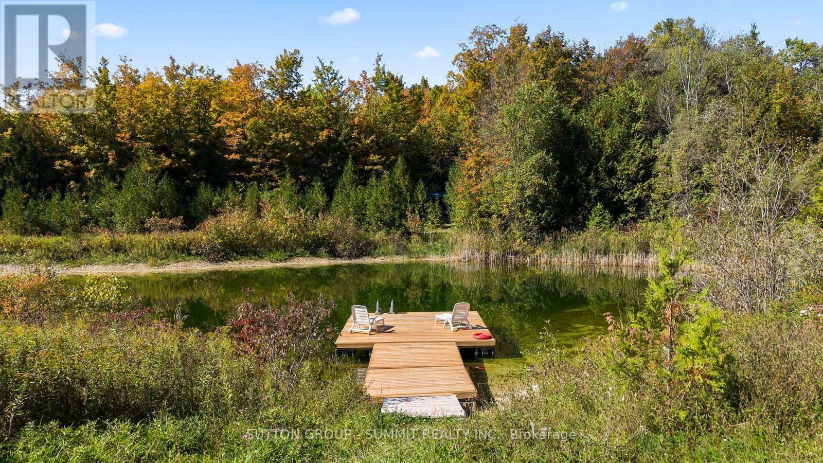 502349 10 Concession Property Photo 39