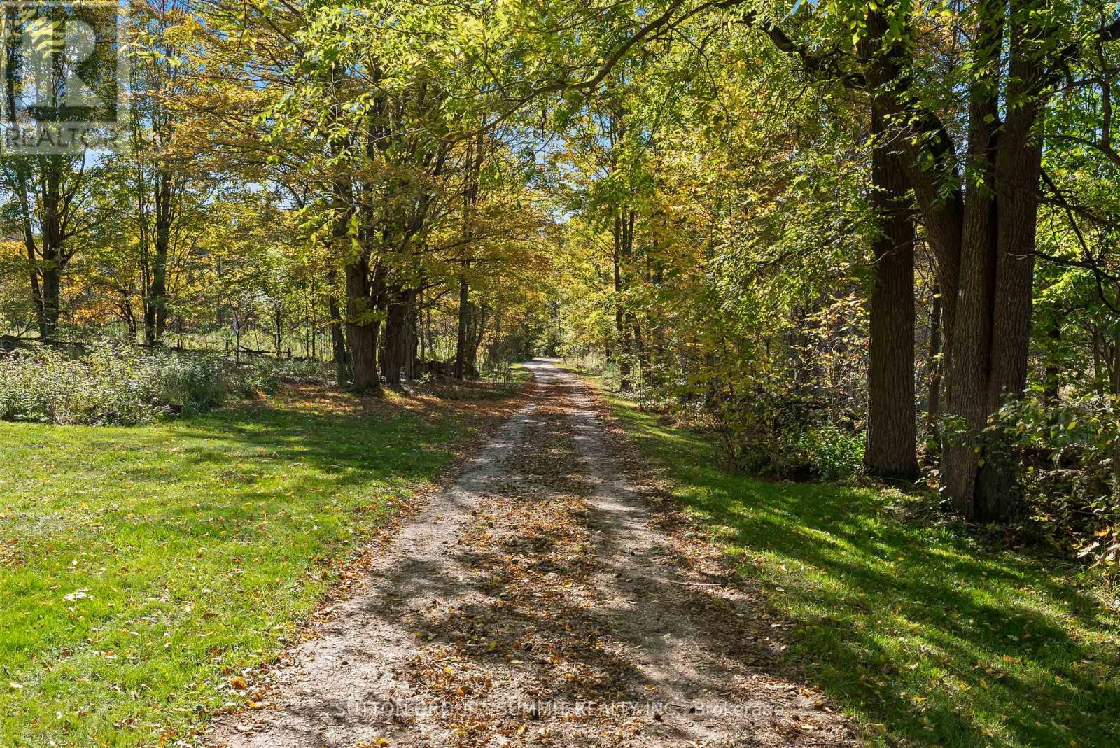 502349 10 Concession Property Photo 41