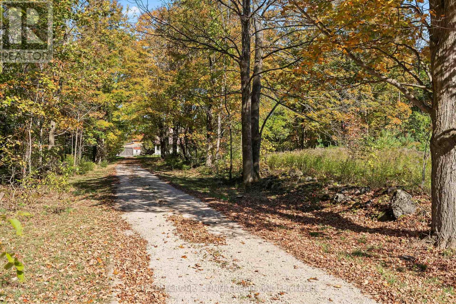 502349 10 Concession Property Photo 42