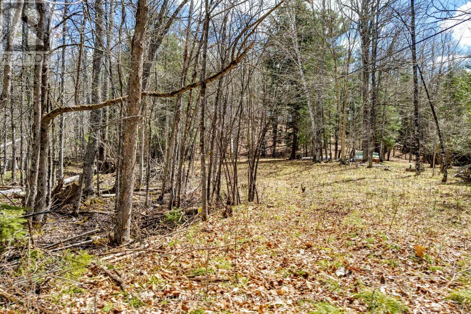 621 North Shore Rd Road Property Photo 5