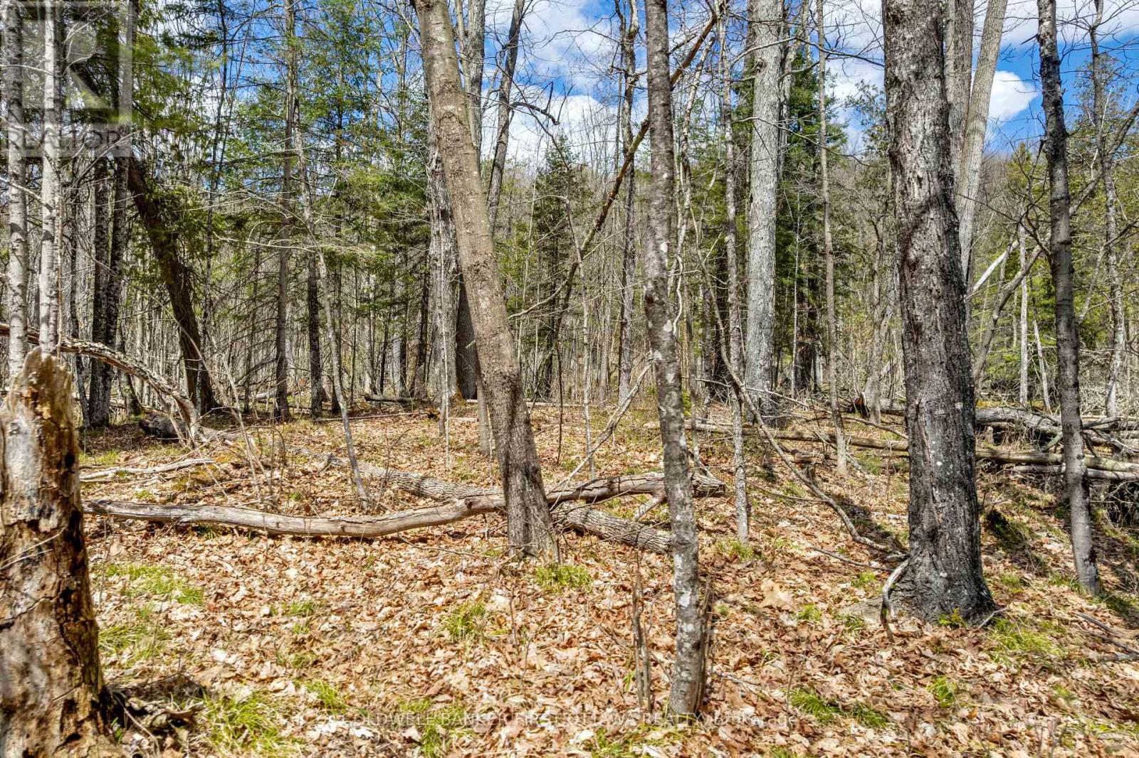 621 North Shore Rd Road Property Photo 6