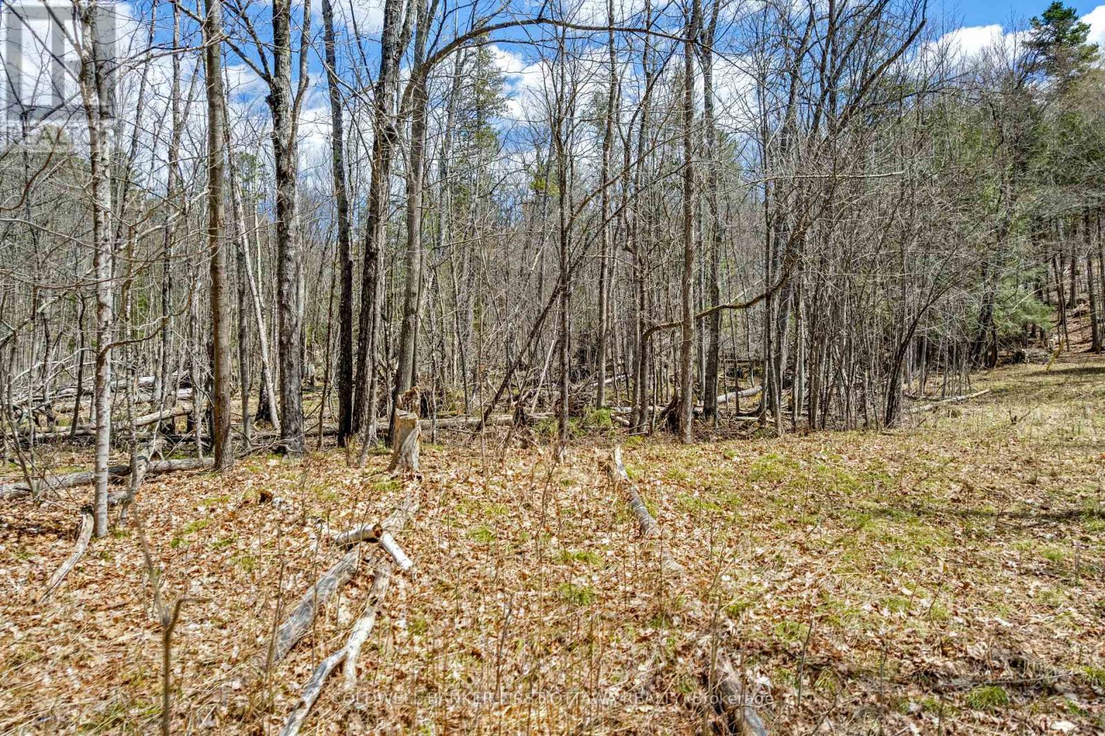 621 North Shore Rd Road Property Photo 7