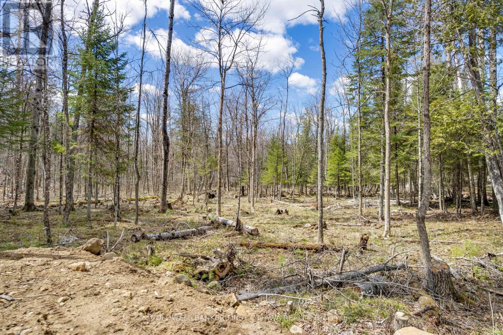 621 North Shore Rd Road Property Photo 13