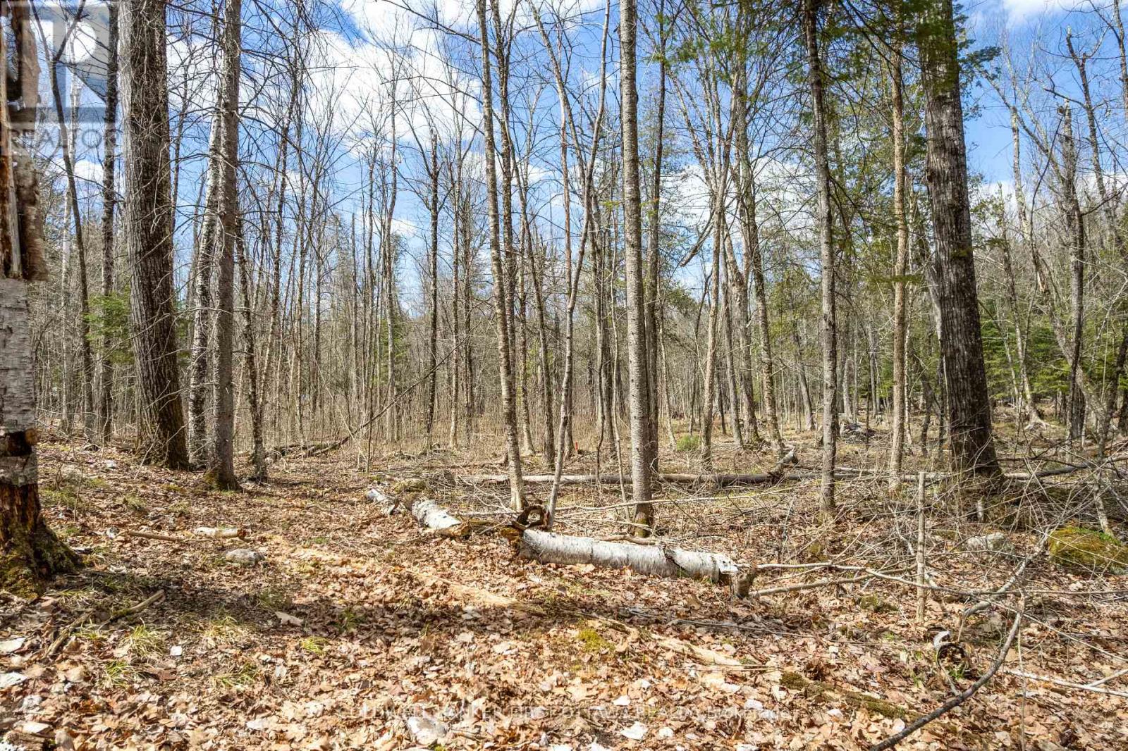 621 North Shore Rd Road Property Photo 15