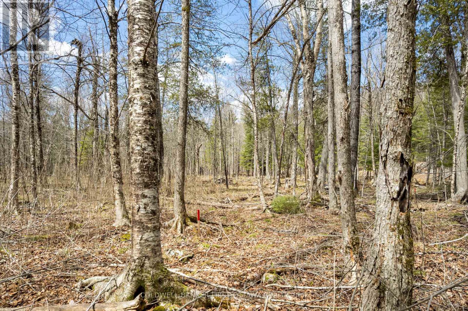 621 North Shore Rd Road Property Photo 16