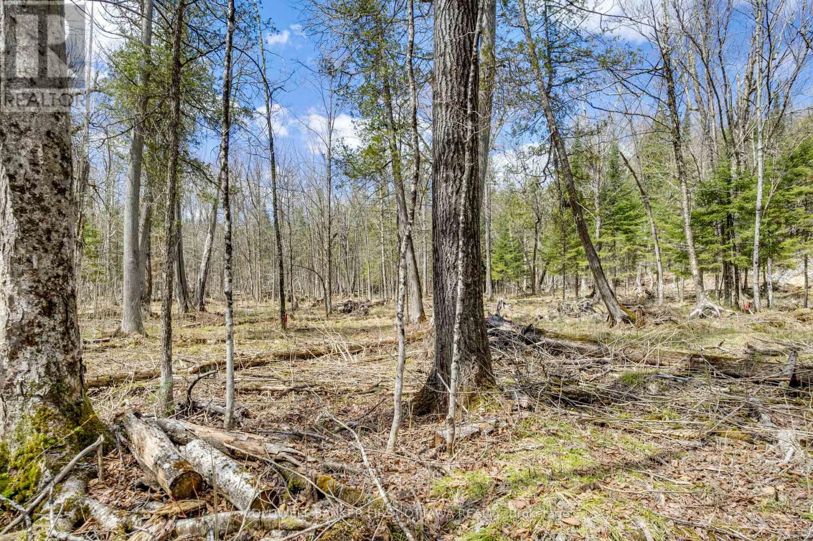 621 North Shore Rd Road Property Photo 17