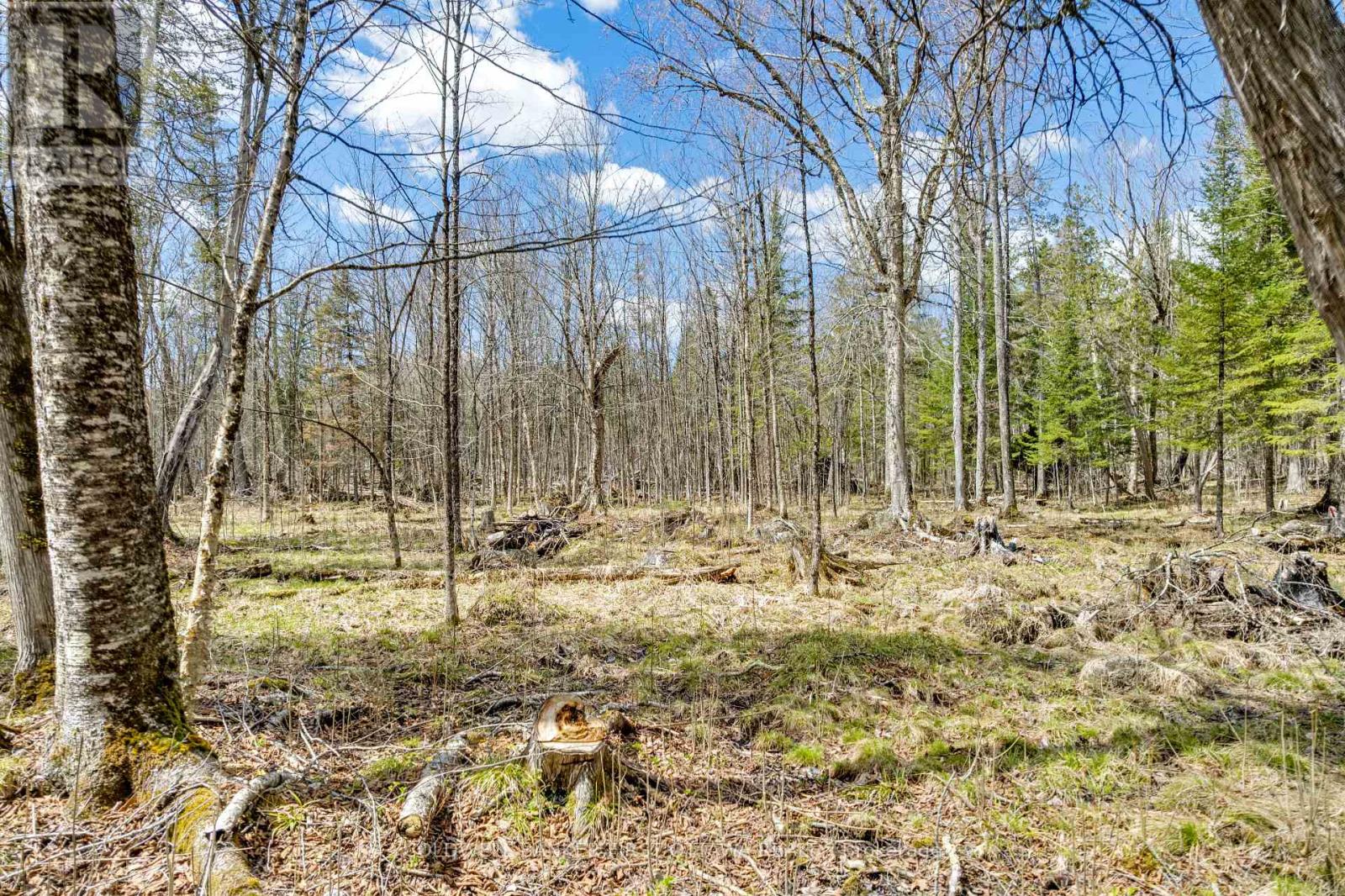621 North Shore Rd Road Property Photo 18